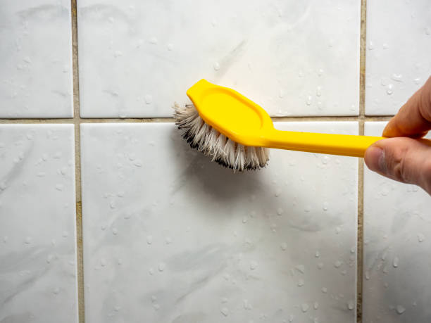 Best Mold Remediation for Schools in Crooked Lake Park, FL