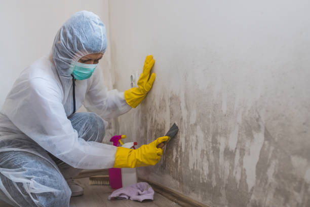 Best Mold Testing and Inspection Services in Crooked Lake Park, FL