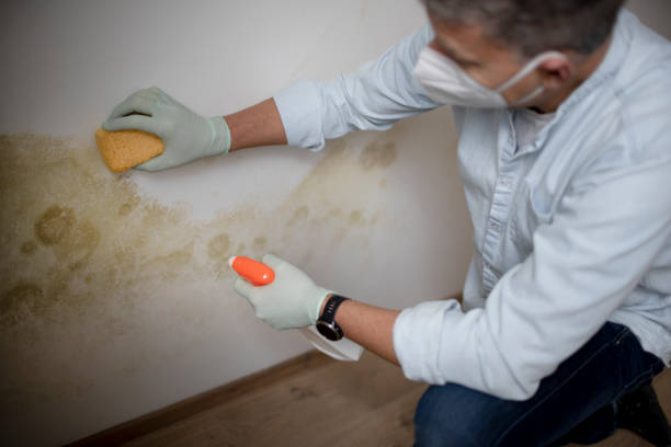 Best Industrial Mold Remediation in Crooked Lake Park, FL