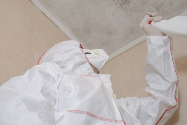 Best Residential Mold Remediation in Crooked Lake Park, FL