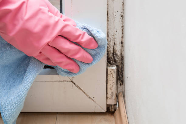 Best Bathroom Mold Remediation in Crooked Lake Park, FL